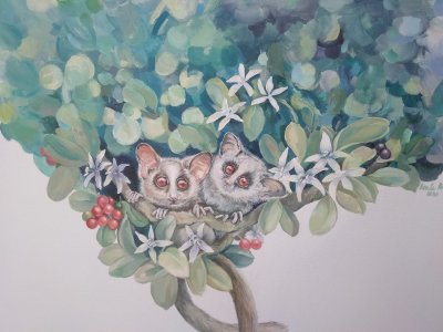 107105224_564446304433125_8907881603375801985_o