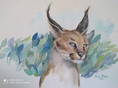 122460349_642543019956786_4262502977880134189_o