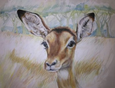 42251800_167524010792025_7803920929330823168_n