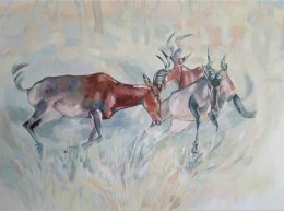 48366759_210973713113721_7333610980942807040_n (1)