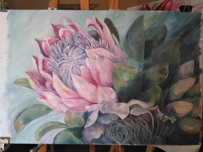 50518203_230283014516124_2476230842951663616_n (1)