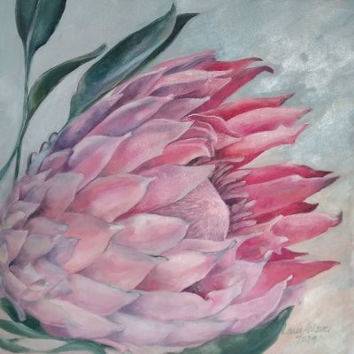 50639562_298608004179539_5381764998418307943_n