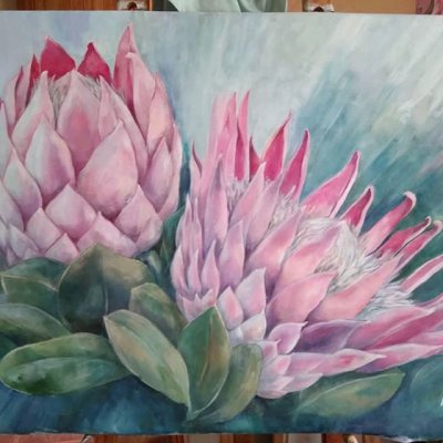 56806704_418202892288417_1365697397629777427_n