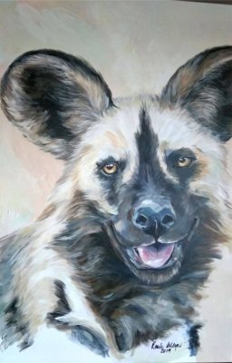 70658440_355905985287159_1142486542258798592_o